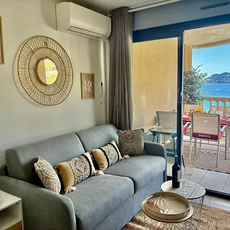 Palme D'azur 409 Cannes