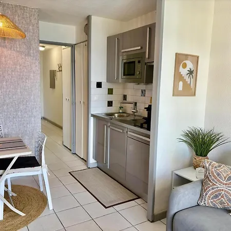 Palme D'azur 409 Apartmán Cannes