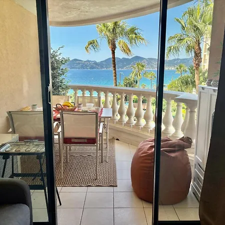 Palme D'azur 409
